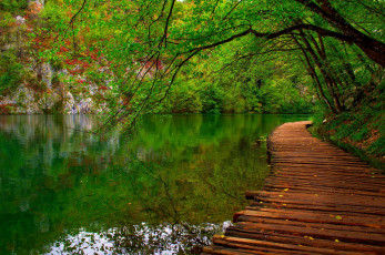 Картинка природа реки озера fall spring colorful leaves река горы trees park лес парк деревья листья walk colors вода forest water river nature