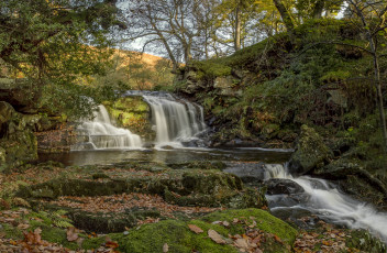 Картинка природа водопады лес водопад река