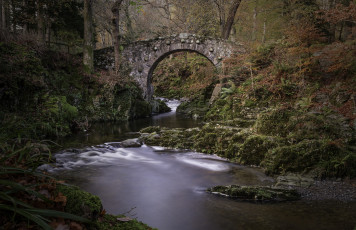 Картинка природа реки озера арка мост лес река