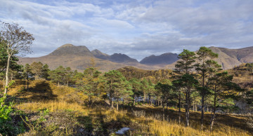 Картинка природа пейзажи лес горы долина