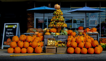 Картинка еда тыква урожай