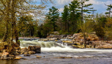 Картинка природа реки озера лес река скалы пороги