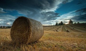 Картинка природа поля поле снопы жнивье