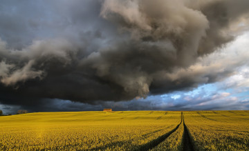Картинка природа стихия поле посевы туча