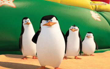 Картинка мультфильмы the+penguins+of+madagascar клюв глаза пингвины