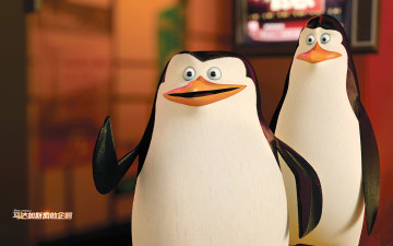 Картинка мультфильмы the+penguins+of+madagascar пингвины клюв глаза