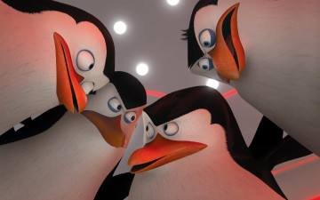 Картинка мультфильмы the+penguins+of+madagascar пингвины клюв глаза