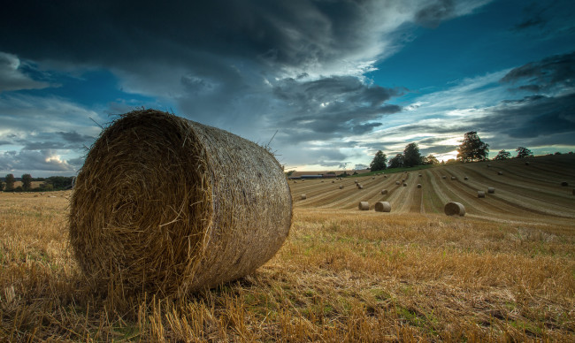 Обои картинки фото природа, поля, поле, снопы, жнивье