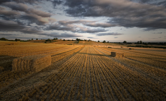 Обои картинки фото природа, поля, снопы, поле, жнивье