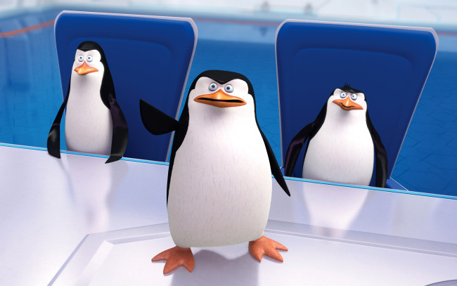 Обои картинки фото мультфильмы, the penguins of madagascar, пингвины, клюв, глаза