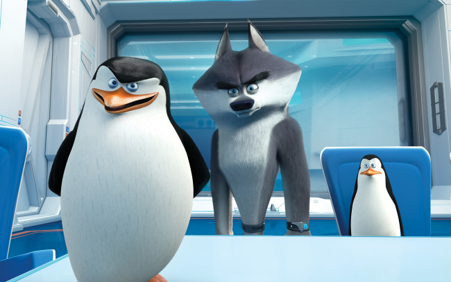 Обои картинки фото мультфильмы, the penguins of madagascar, пингвины, клюв, глаза