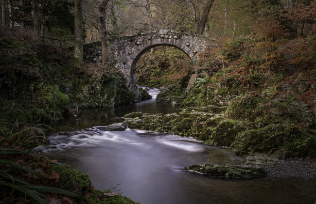 Обои картинки фото природа, реки, озера, арка, мост, лес, река