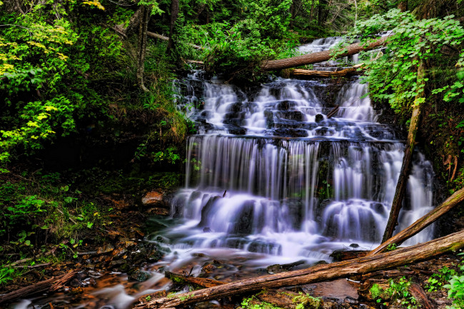 Обои картинки фото природа, водопады, лес, водопад, река