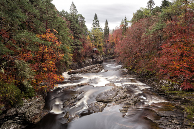 Обои картинки фото природа, реки, озера, река, пороги, лес