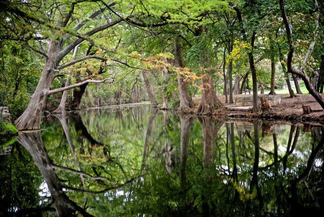 Обои картинки фото природа, реки, озера, отражение, река, лес