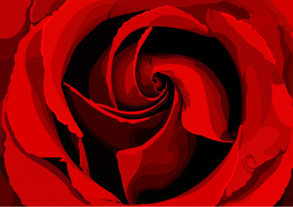 Картинка векторная+графика цветы+ flowers фон лепестки роза