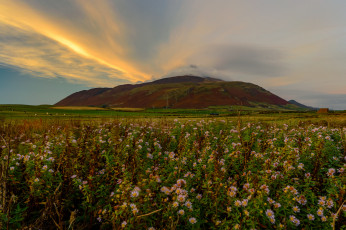 Картинка природа восходы закаты рассвет