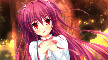 Картинка аниме unknown +другое takano yuki lovera bride sakuranomori misaki девочка арт