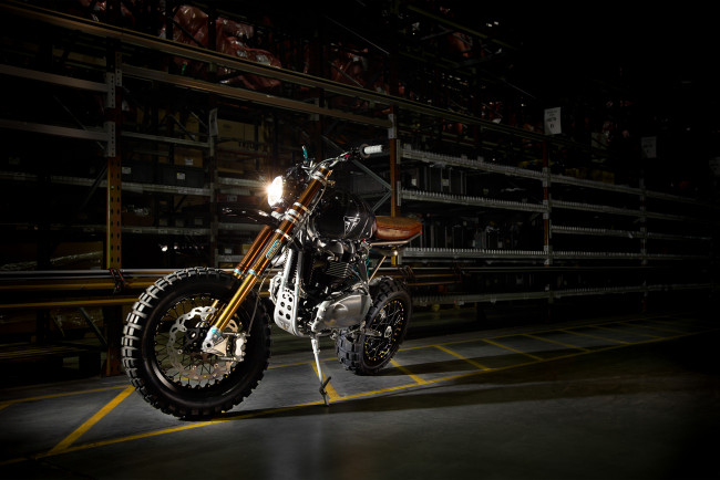 Обои картинки фото мотоциклы, triumph