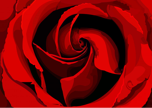 Обои картинки фото векторная графика, цветы , flowers, фон, лепестки, роза