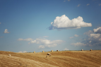 Картинка природа поля облака лето