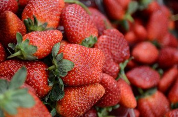 Картинка еда клубника +земляника ягоды