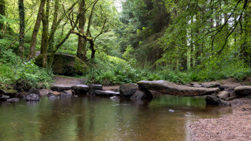 Картинка природа реки озера лес река камни