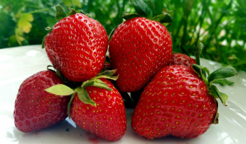 Картинка еда клубника +земляника ягоды