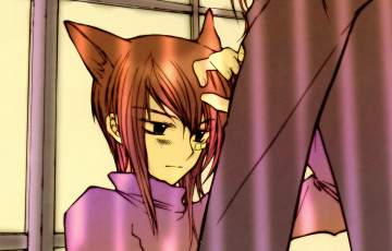 Картинка аниме loveless нелюбимый