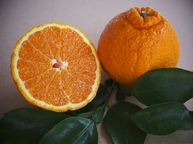 Обои картинки фото еда, цитрусы, апельсины
