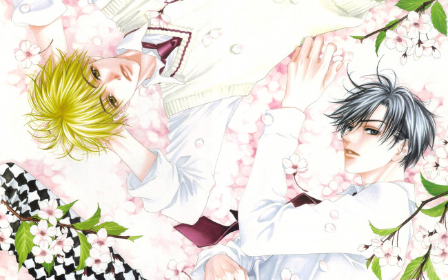 Обои картинки фото аниме, hanakimi, парни