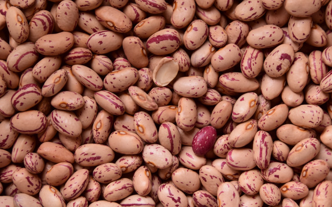 Обои картинки фото еда, бобовые, фасоль, пестрая