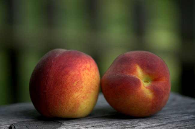 Обои картинки фото еда, персики,  сливы,  абрикосы