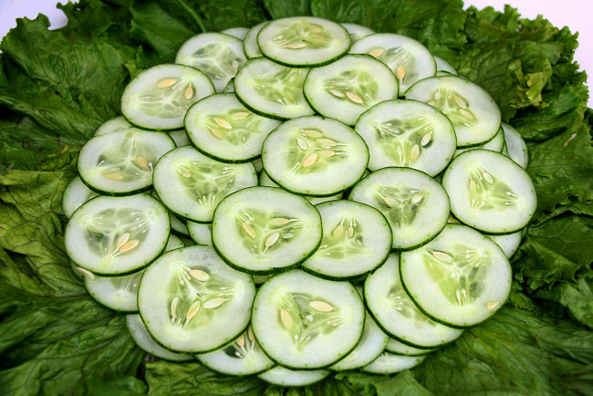 Обои картинки фото еда, огурцы, огурчики