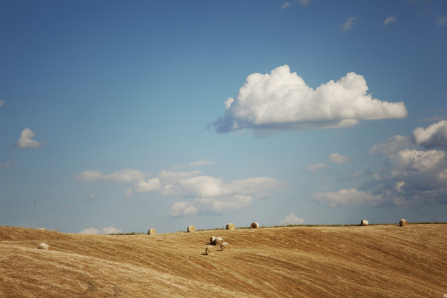 Обои картинки фото природа, поля, облака, лето