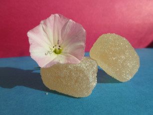 Картинка еда конфеты +шоколад +сладости мармелад