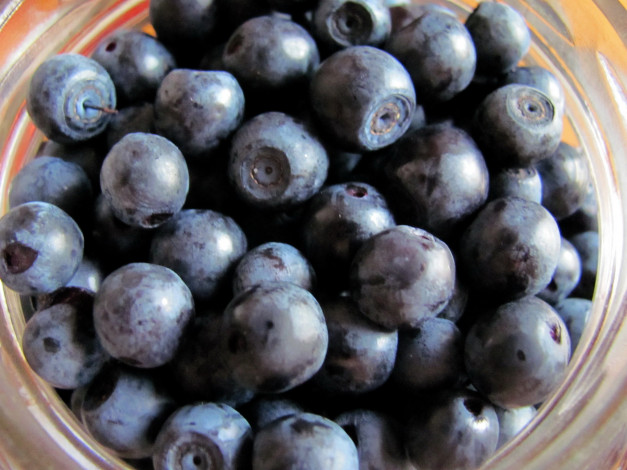 Обои картинки фото еда, голубика,  черника, черника, ягоды