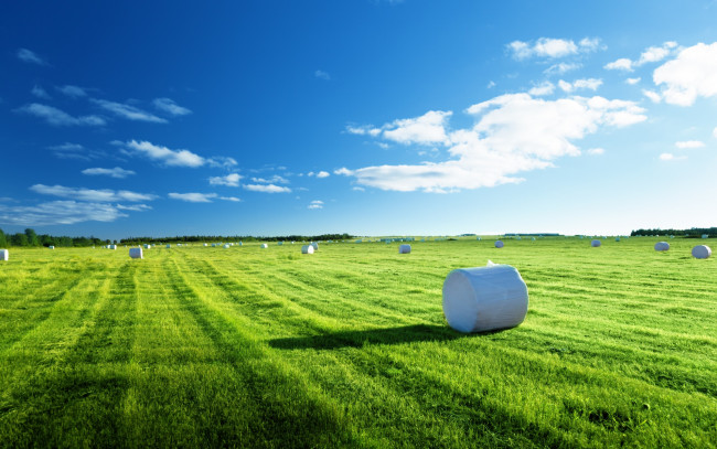 Обои картинки фото природа, поля, травка, поле, сено, голубое, небо