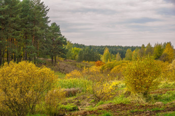 Картинка природа пейзажи простор