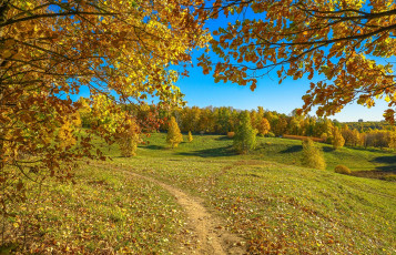 Картинка природа пейзажи простор