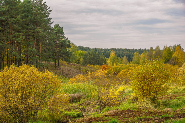 Обои картинки фото природа, пейзажи, простор