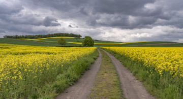 Картинка природа дороги простор