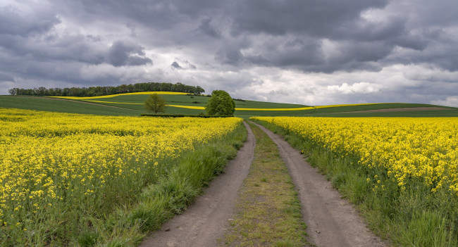 Обои картинки фото природа, дороги, простор