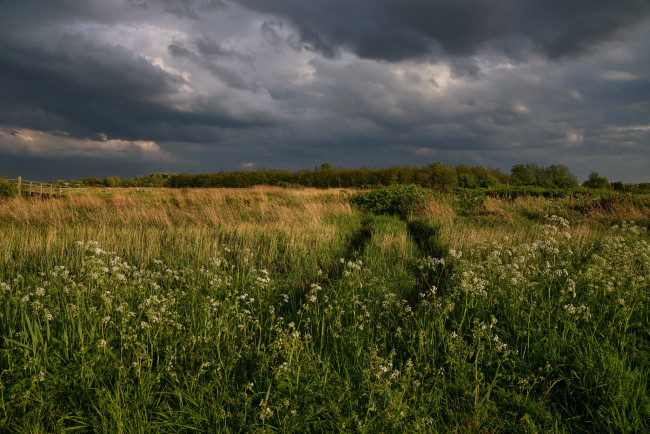 Обои картинки фото природа, поля, простор