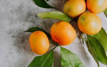 Картинка еда цитрусы мандарины