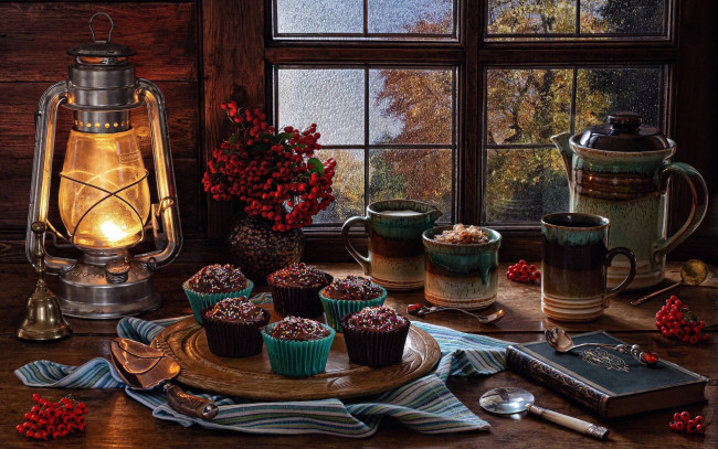 Обои картинки фото еда, натюрморт, рябина, лампа, книга, кексы