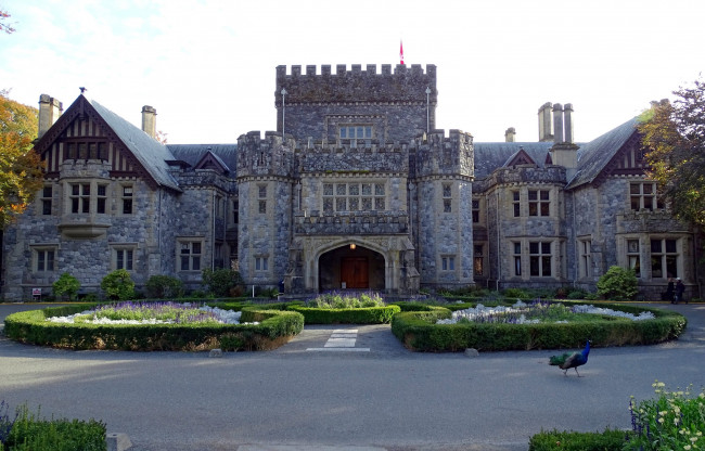 Обои картинки фото hatley castle, canada, города, - дворцы,  замки,  крепости, hatley, castle
