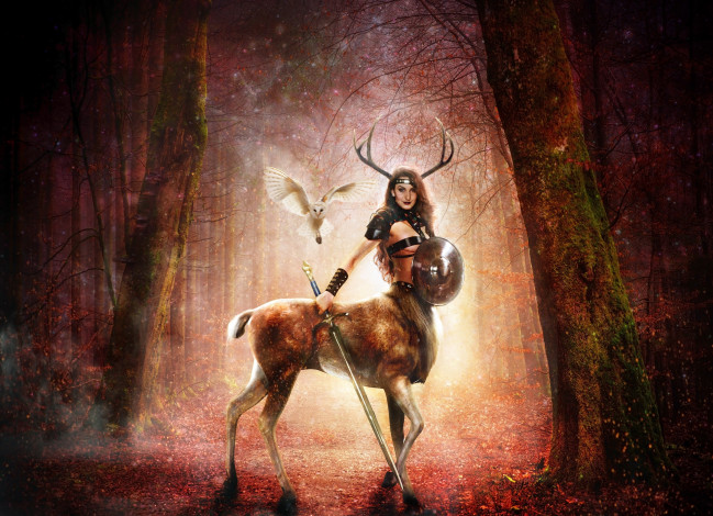 Обои картинки фото разное, компьютерный дизайн, девушка, фон, взгляд, оружие, кентавр, сова