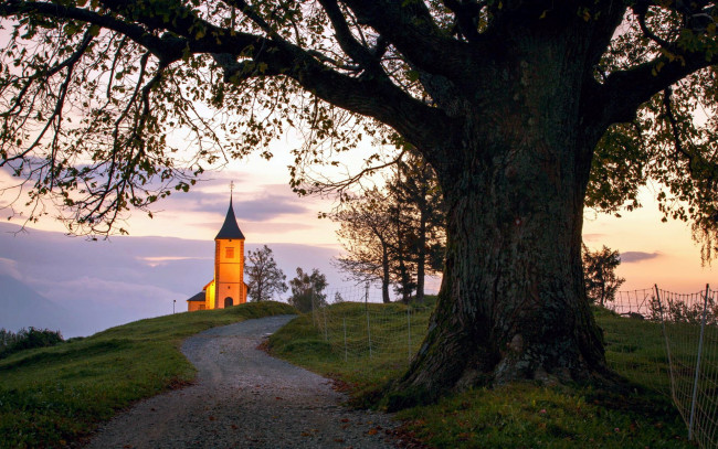 Обои картинки фото города, - католические соборы,  костелы,  аббатства, костел