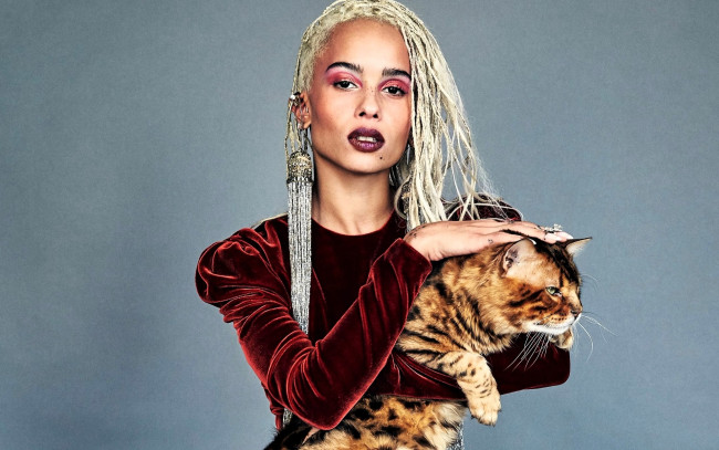 Обои картинки фото девушки, zoe kravitz, блондинка, платье, кот